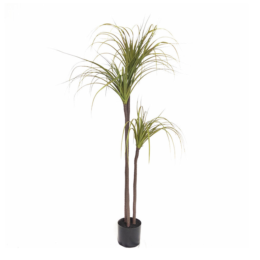 145cm Artificial Indoor Dragon Blood Tree