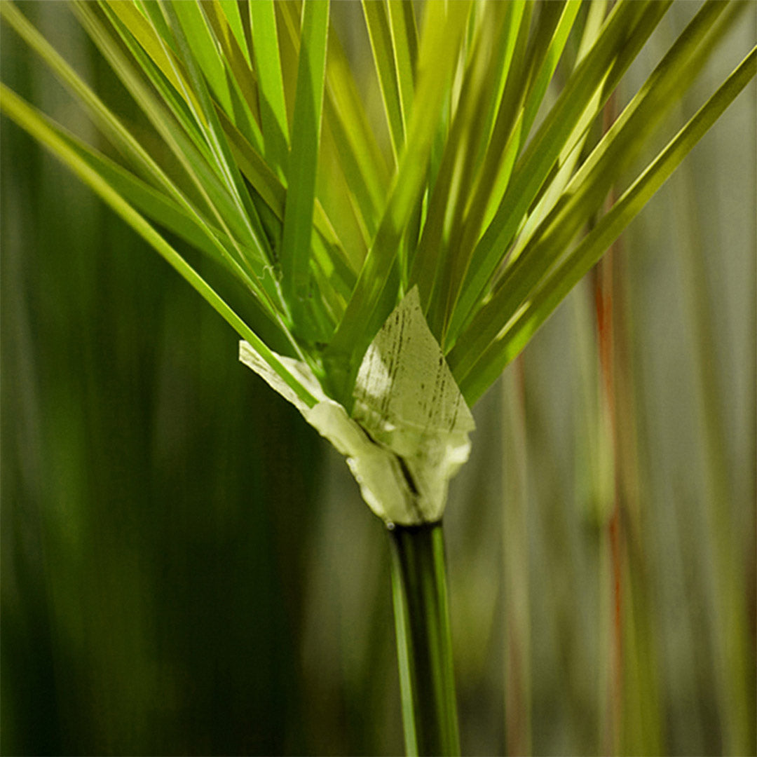 150cm Green Artificial Indoor Potted Papyrus Plant