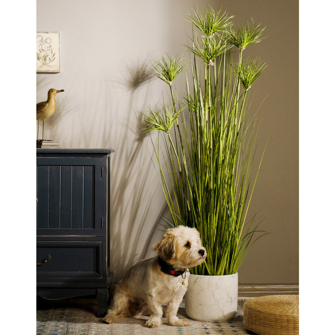 150cm Green Artificial Indoor Potted Papyrus Plant