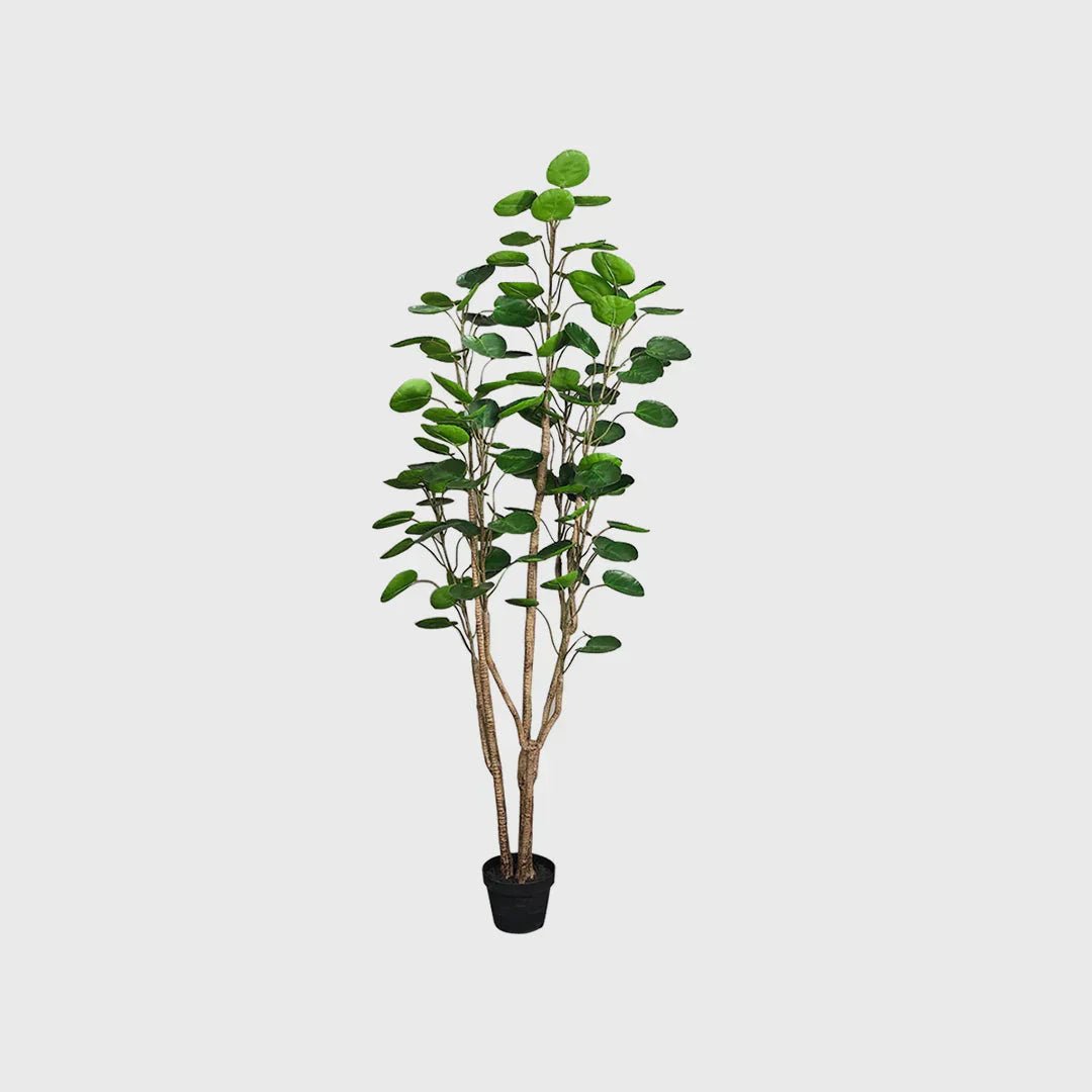 10 Ways to Style an Artificial Pocket Money Tree in Your Home or Office - Snug & Homely