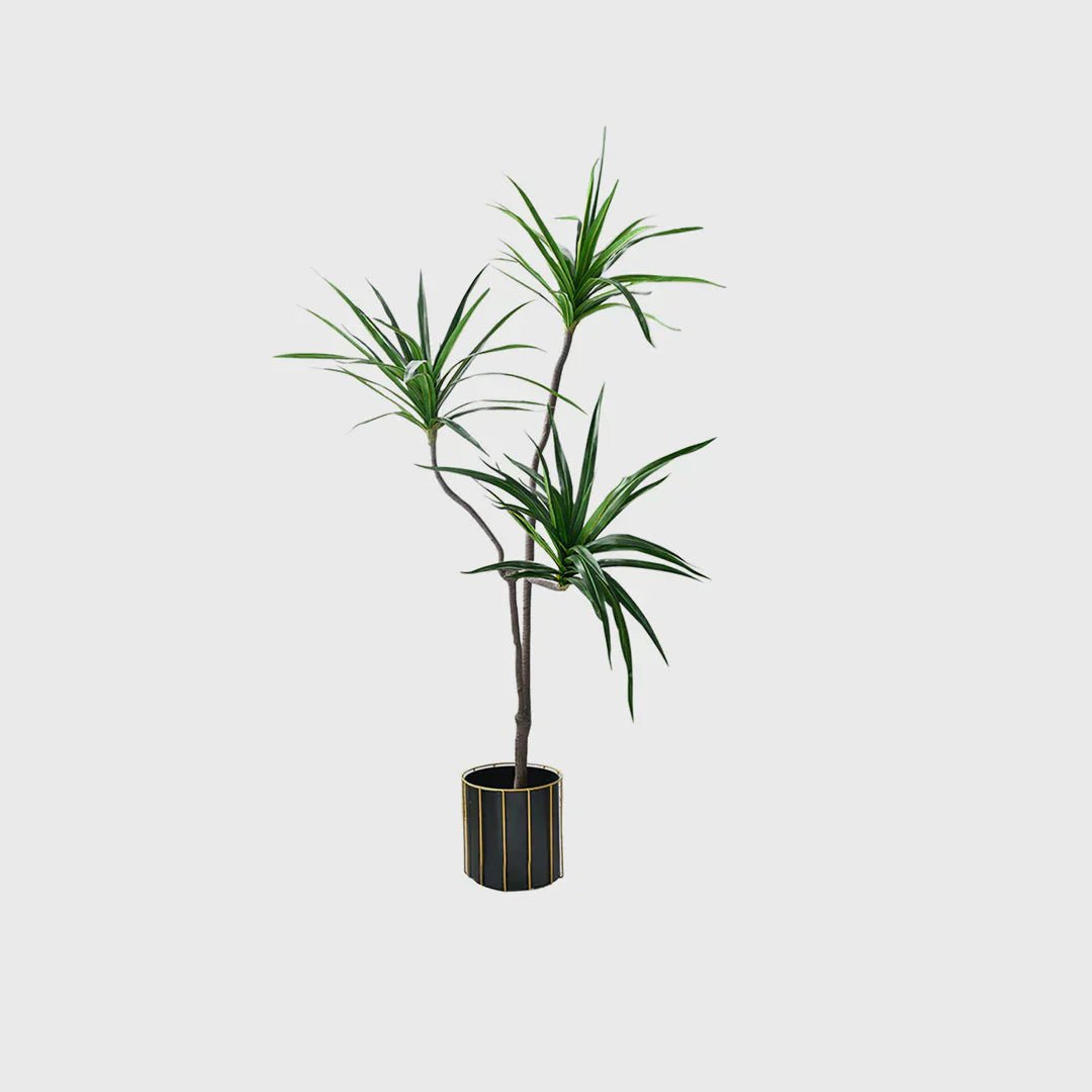 Artificial Indoor Trees That Stand Out: Styling Tips for the Dragon Blood, Brazilian Iron, and Qin Yerong Trees - Snug & Homely