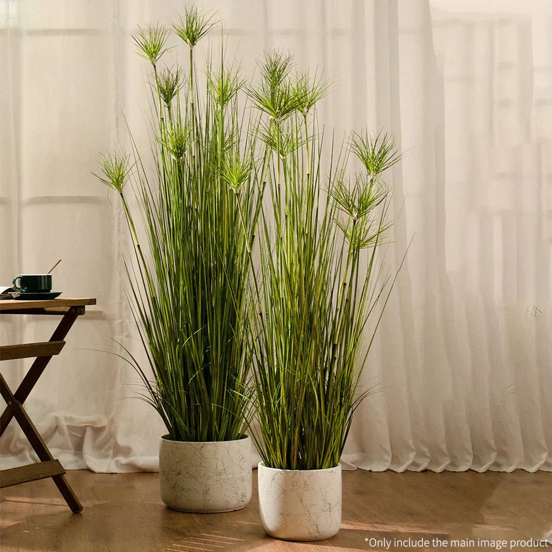 Bring Timeless Elegance to Your Home with Artificial Indoor Papyrus Plants – Available at Snug and Homely - Snug & Homely