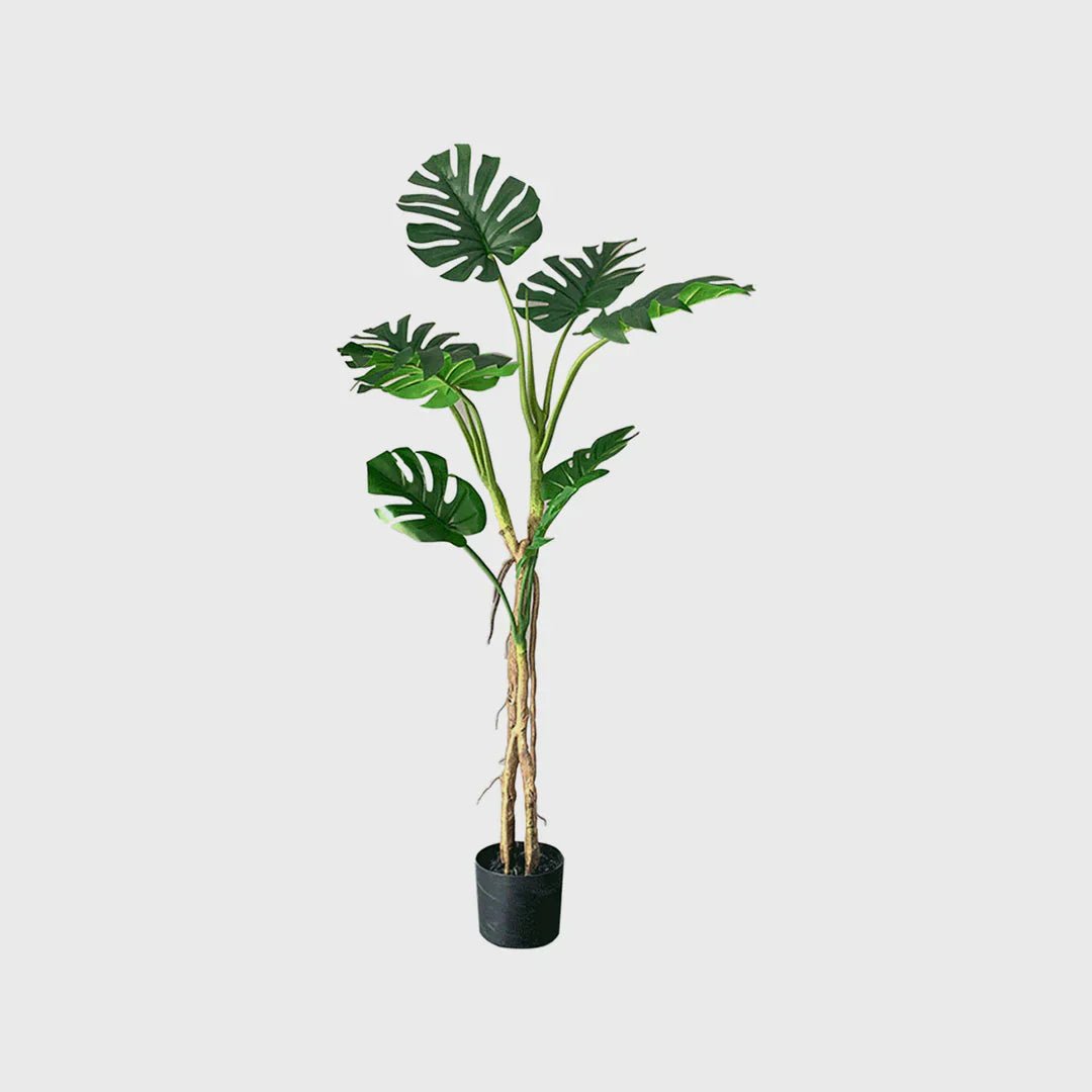 Enhance Your Home with the Artificial Turtle Back Plant: A Modern Greenery Solution! - Snug & Homely