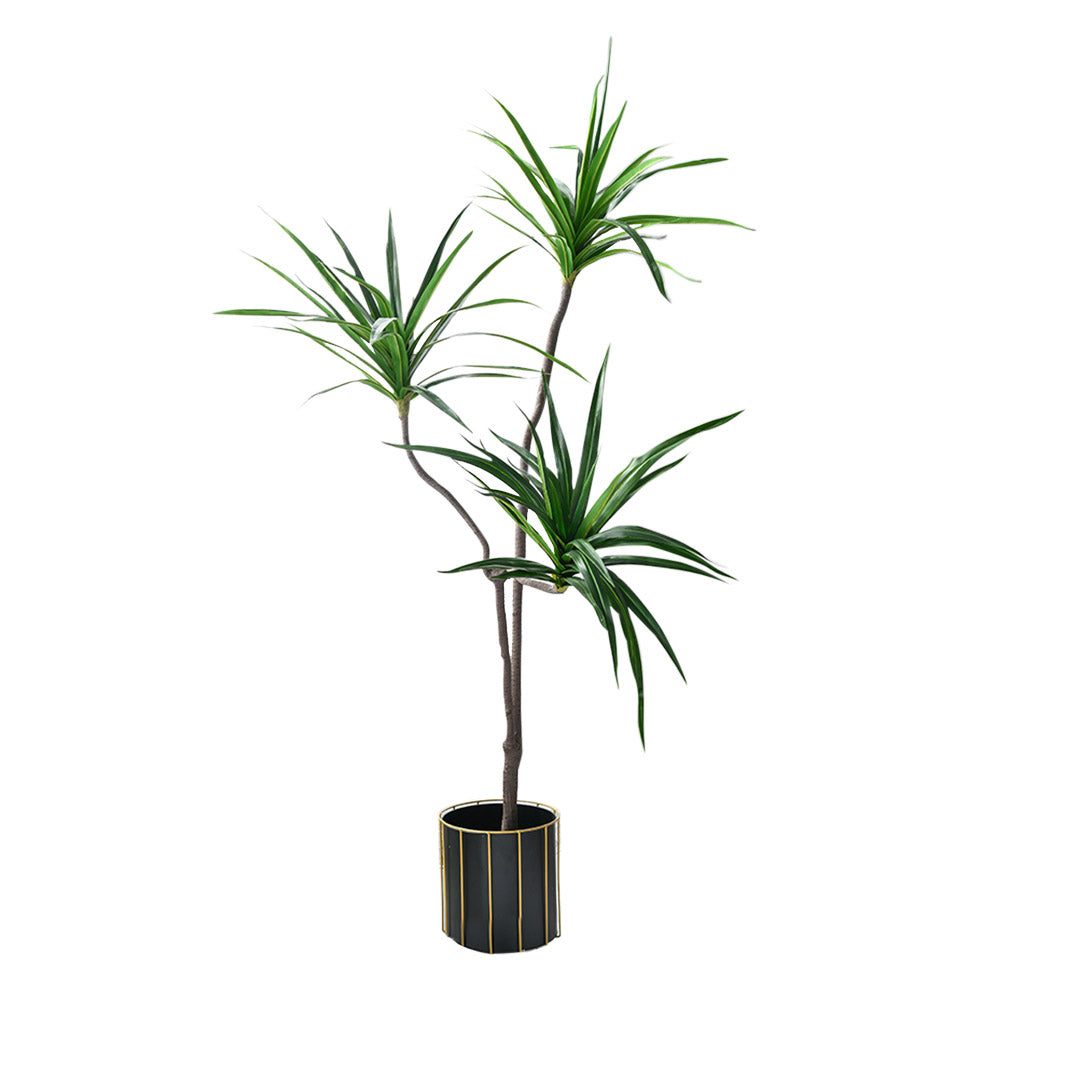 180cm Green Artificial Indoor Brazlian Iron Tree 3 Heads