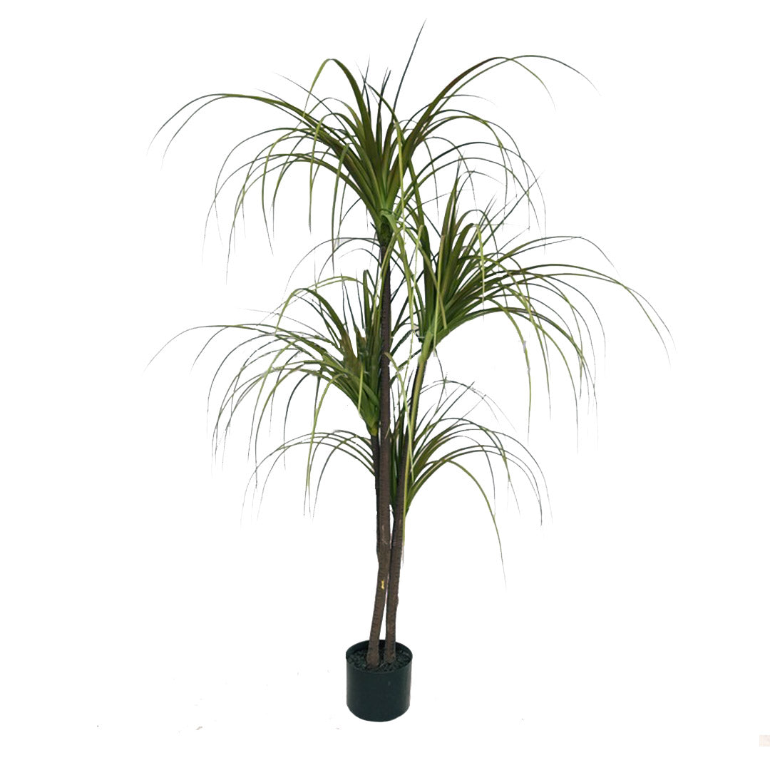 150cm Artificial Indoor Dragon Blood Tree