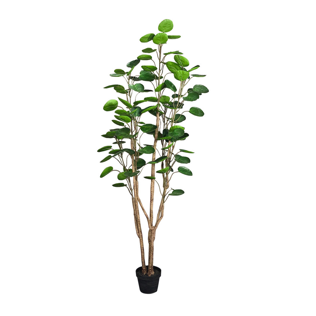 180cm Artificial Indoor Pocket Money Tree