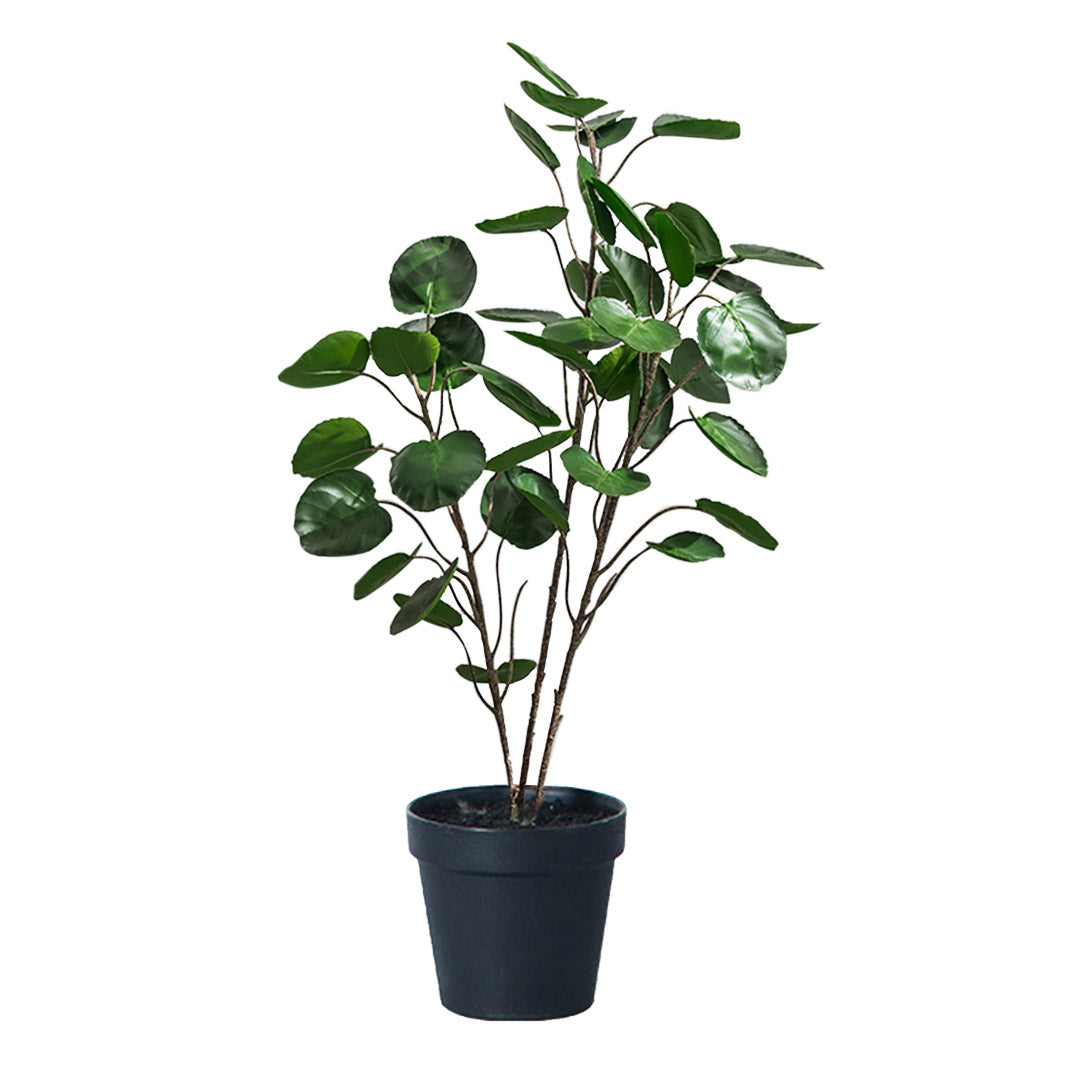 95cm Artificial Indoor Pocket Money Tree