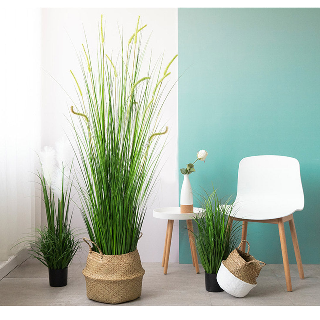 150cm Artificial Indoor Potted Reed Grass Tree