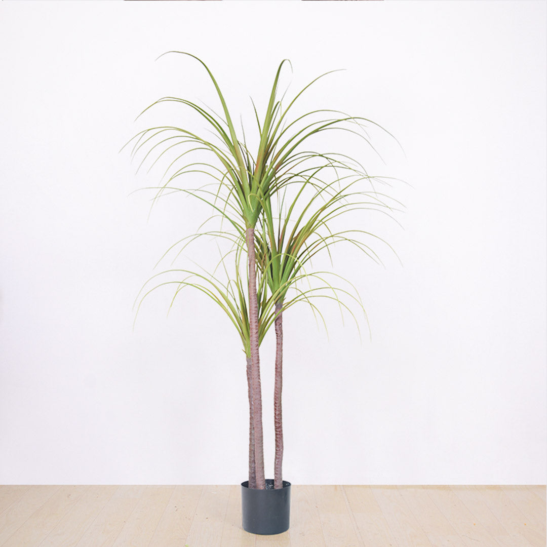 145cm Artificial Indoor Dragon Blood Tree