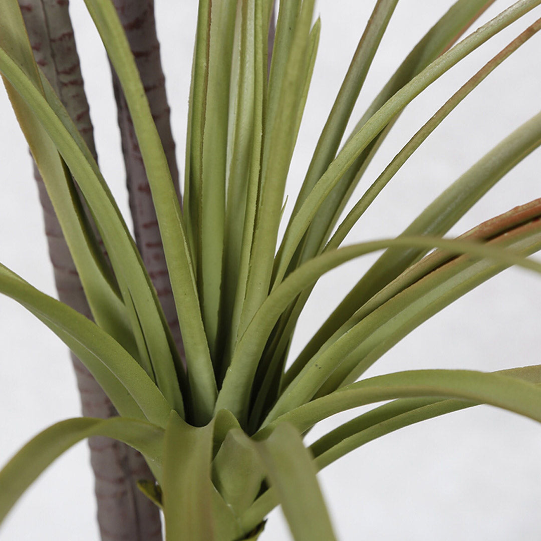 145cm Artificial Indoor Dragon Blood Tree