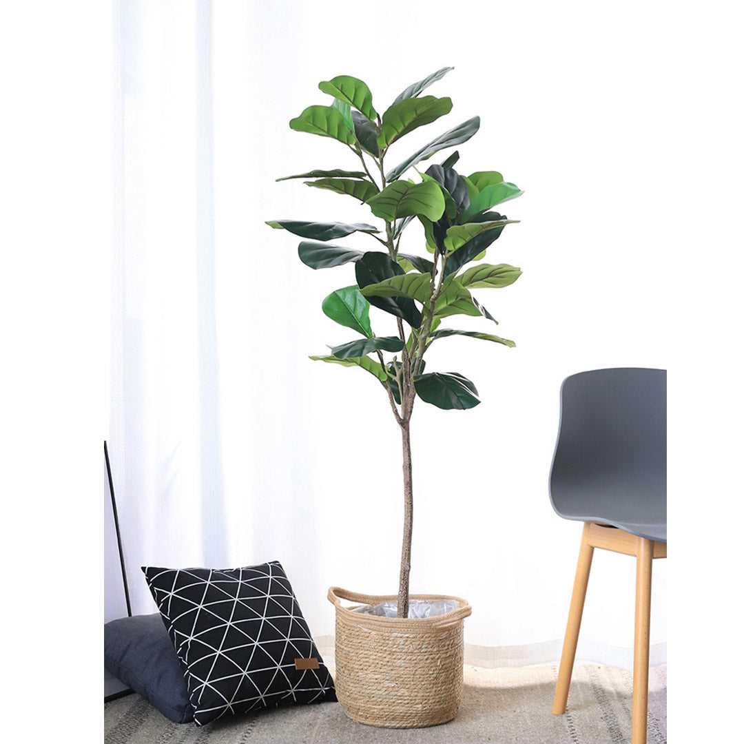 155cm Green Artificial Indoor Qin Yerong Tree