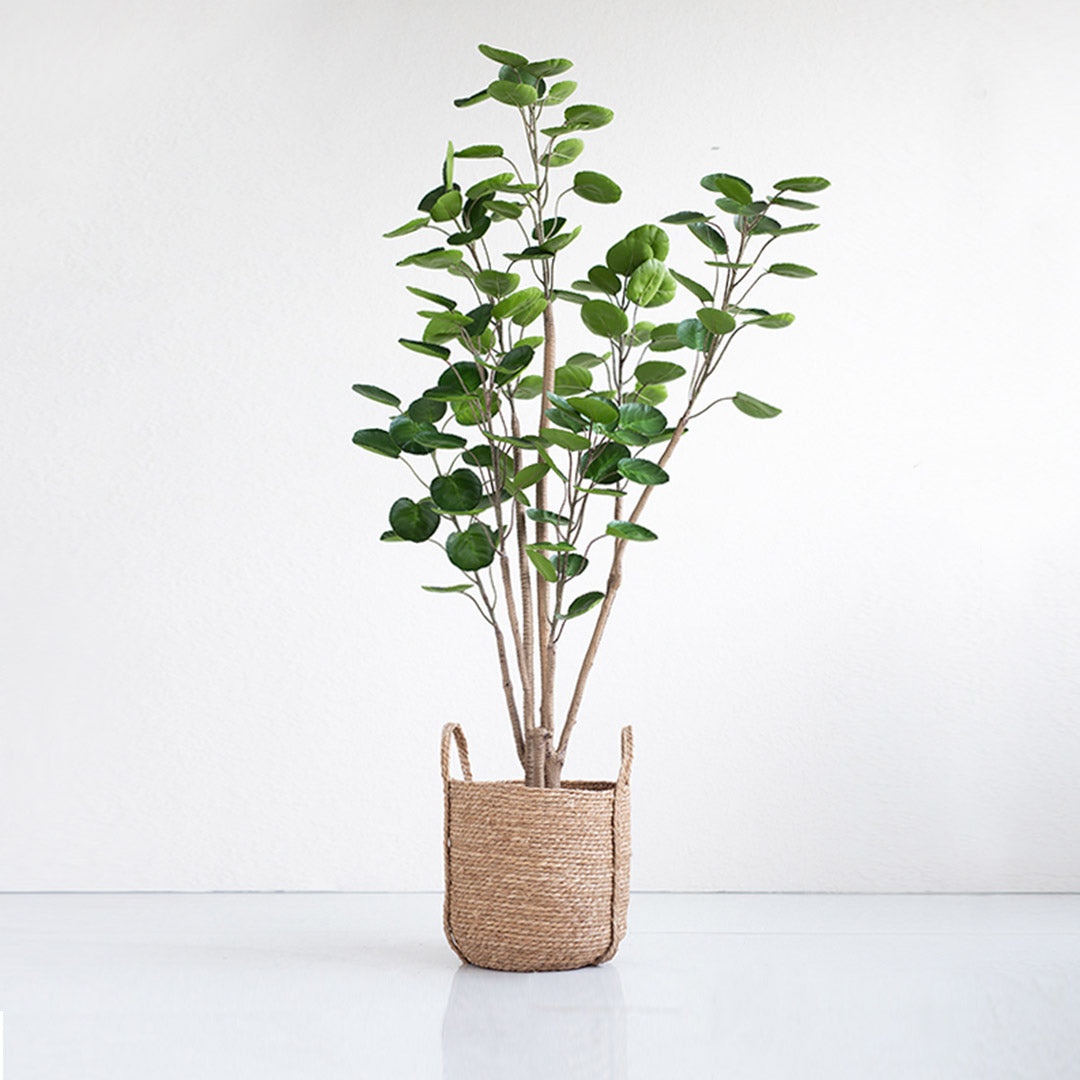 150cm Artificial Indoor Pocket Money Tree