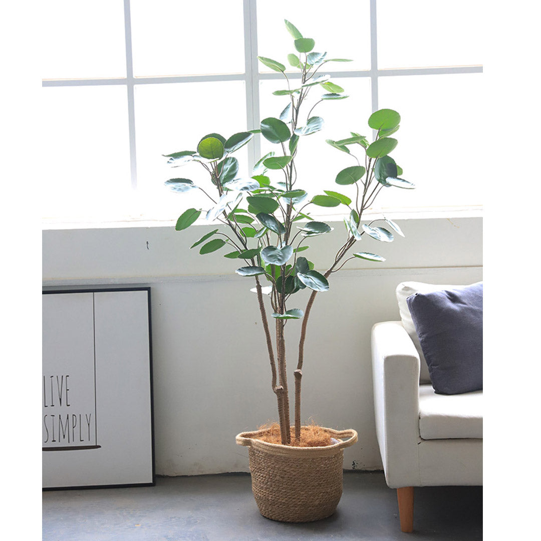 150cm Artificial Indoor Pocket Money Tree