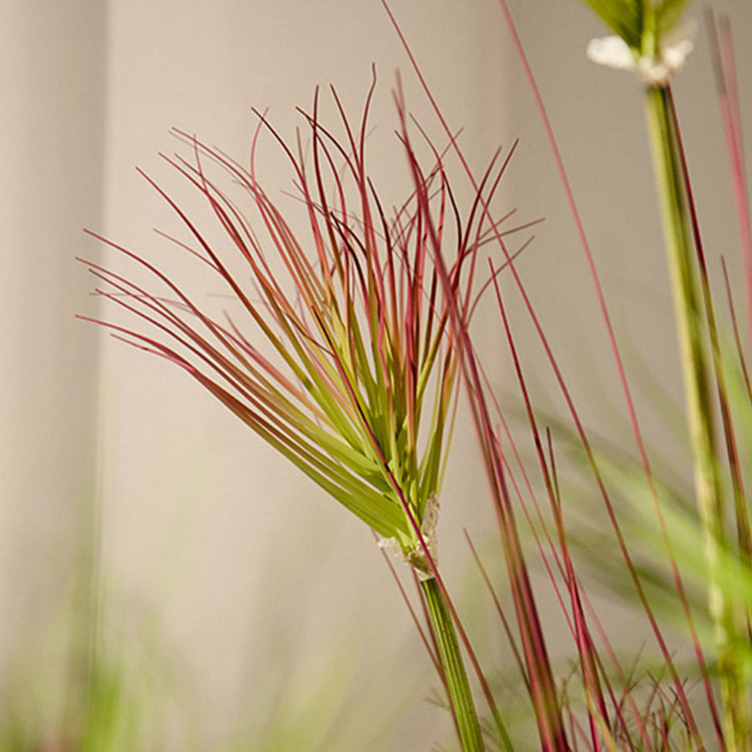 120cm Purple-Red Artificial Indoor Potted Papyrus Plant