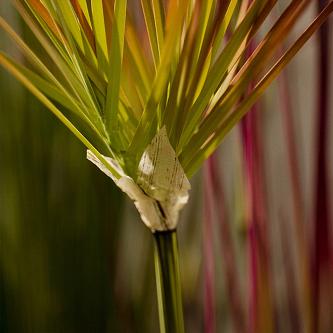 120cm Purple-Red Artificial Indoor Potted Papyrus Plant