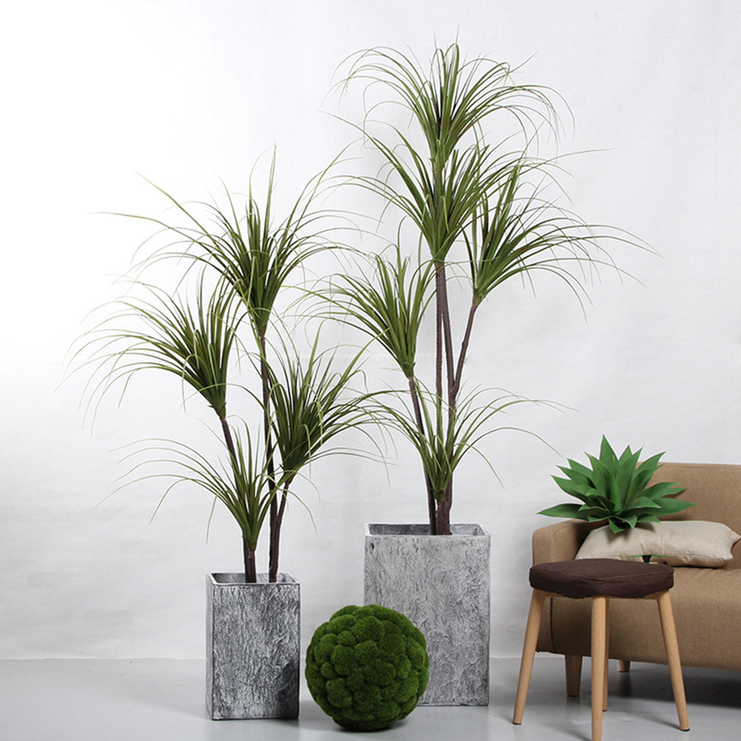 150cm Artificial Indoor Dragon Blood Tree