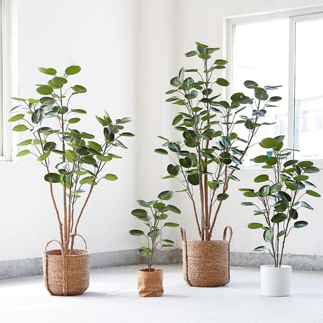 180cm Artificial Indoor Pocket Money Tree