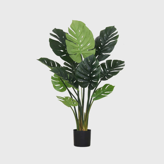 113cm Artificial Turtle Back Plant-main front image