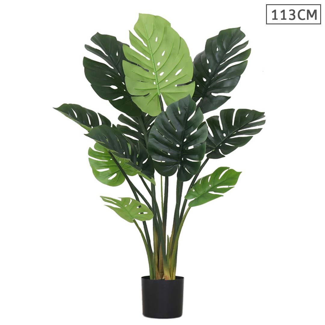 113cm Artificial Turtle Back Plant - Snug & Homely