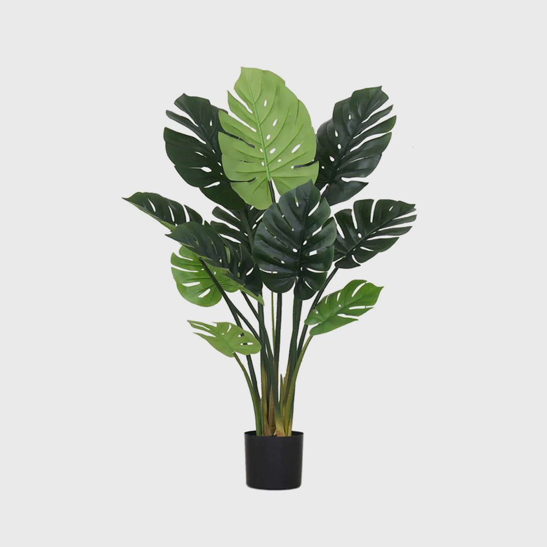 113cm Artificial Turtle Back Plant - Snug & Homely