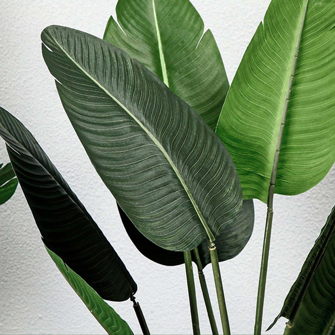 120cm Artificial Traveler Banana Plant- Leaf close up