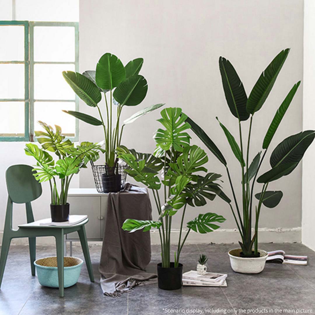 120cm Artificial Traveler Banana Plant- Image showing plant in a room setting