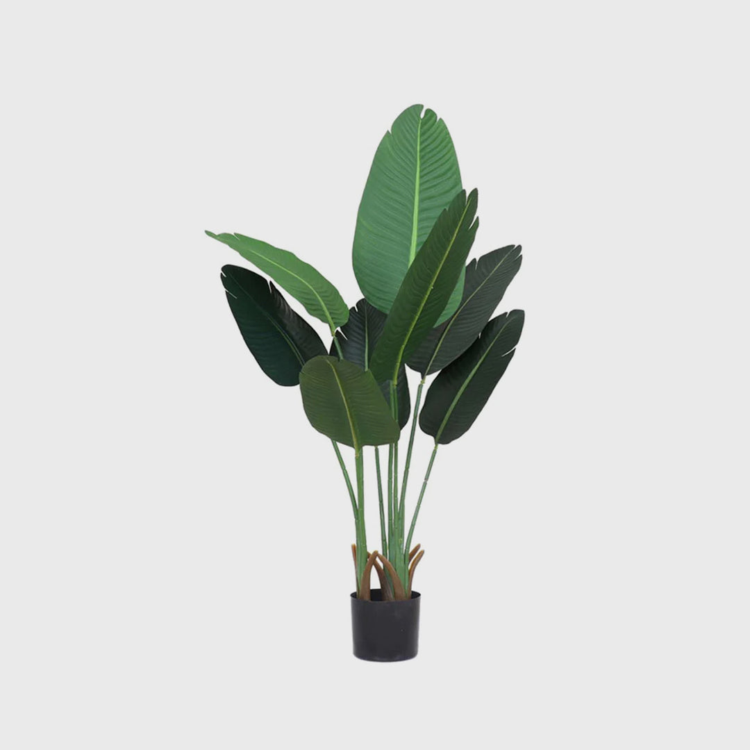 120cm Artificial Traveler Banana Plant-Main front image