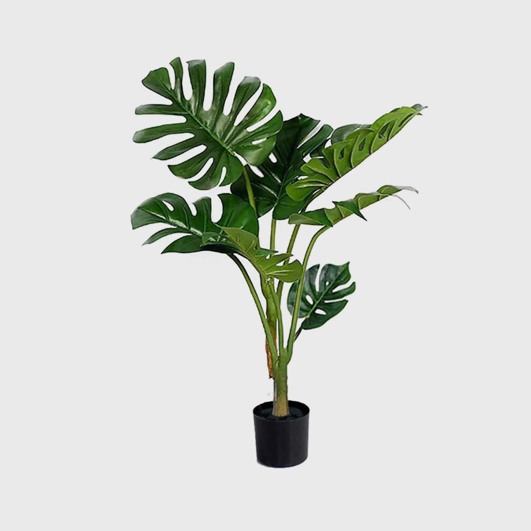 120cm Artificial Turtle Back Plant - Snug & Homely