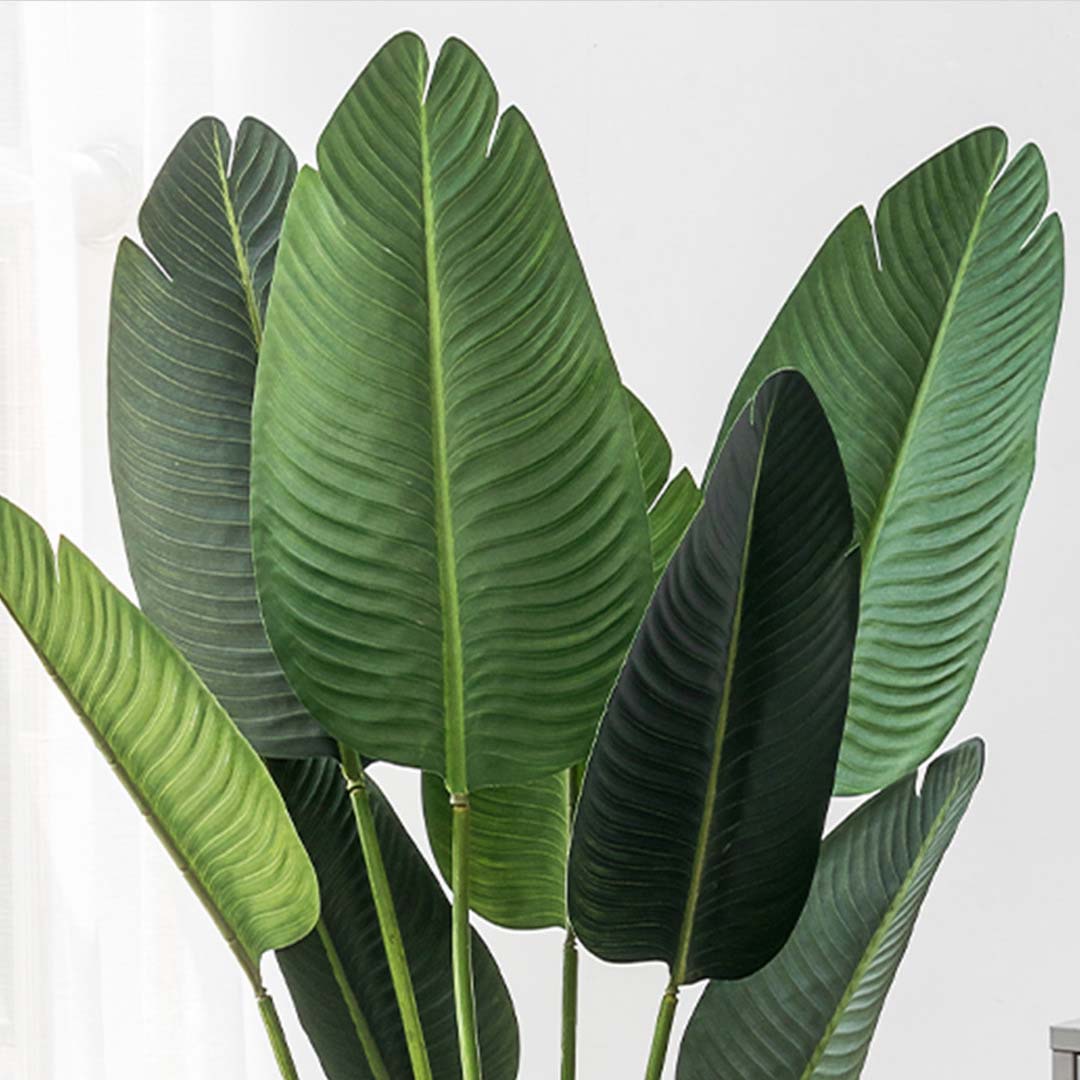 160cm Artificial Traveler Banana Plant- Leaf close up