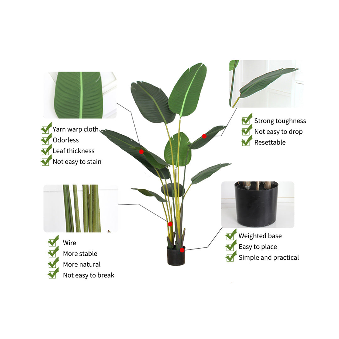 Features of 180cm Green Artificial Indoor Nordic Wind Traveler Banana Plant