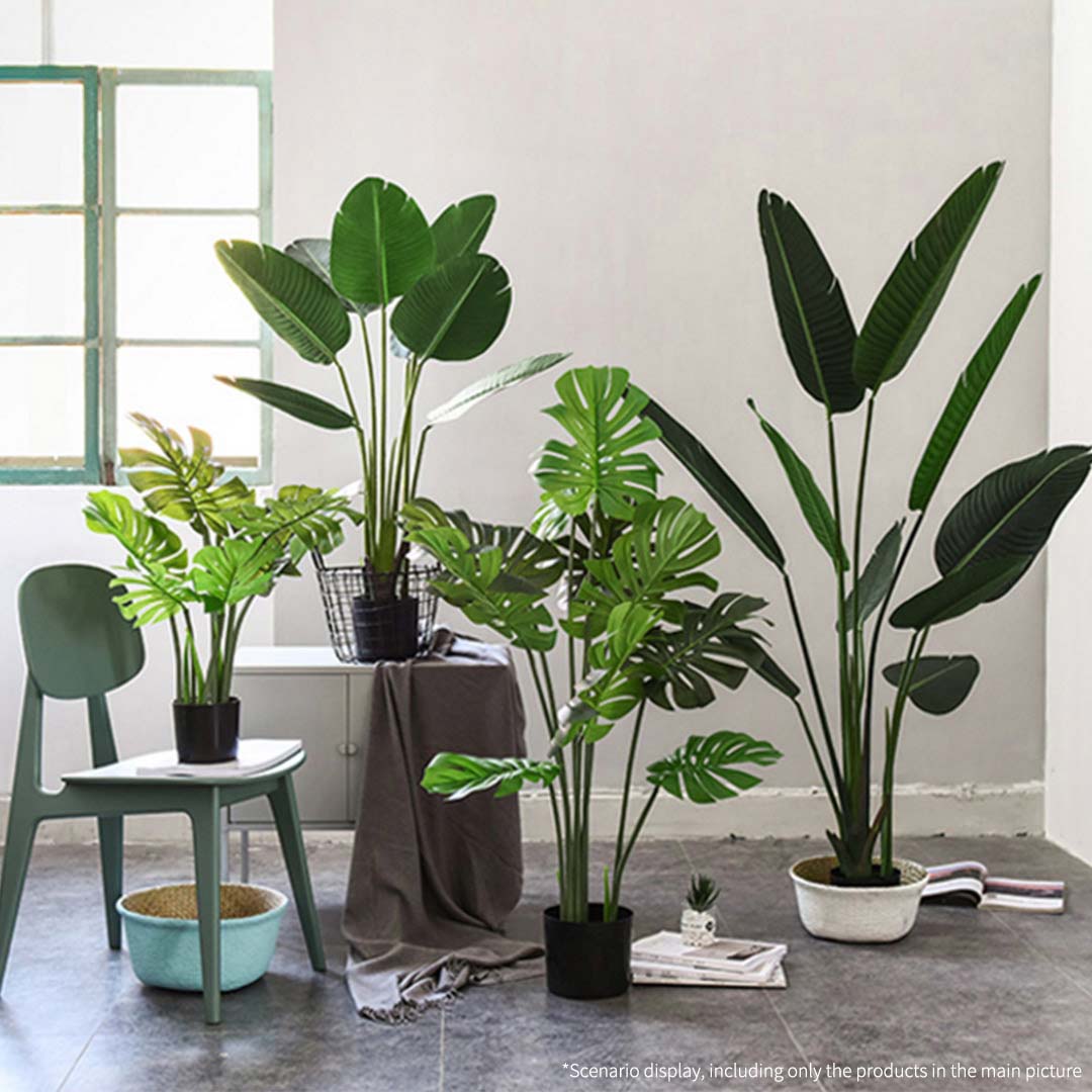 80cm Artificial Turtle Back Plant- image showing the plant in a room setting