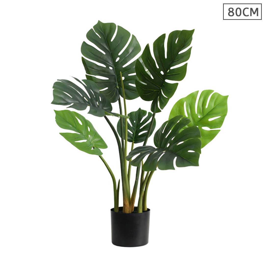 80cm Artificial Turtle Back Plant-main front image 2