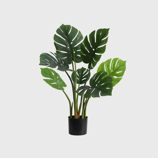 80cm Artificial Turtle Back Plant-main front image