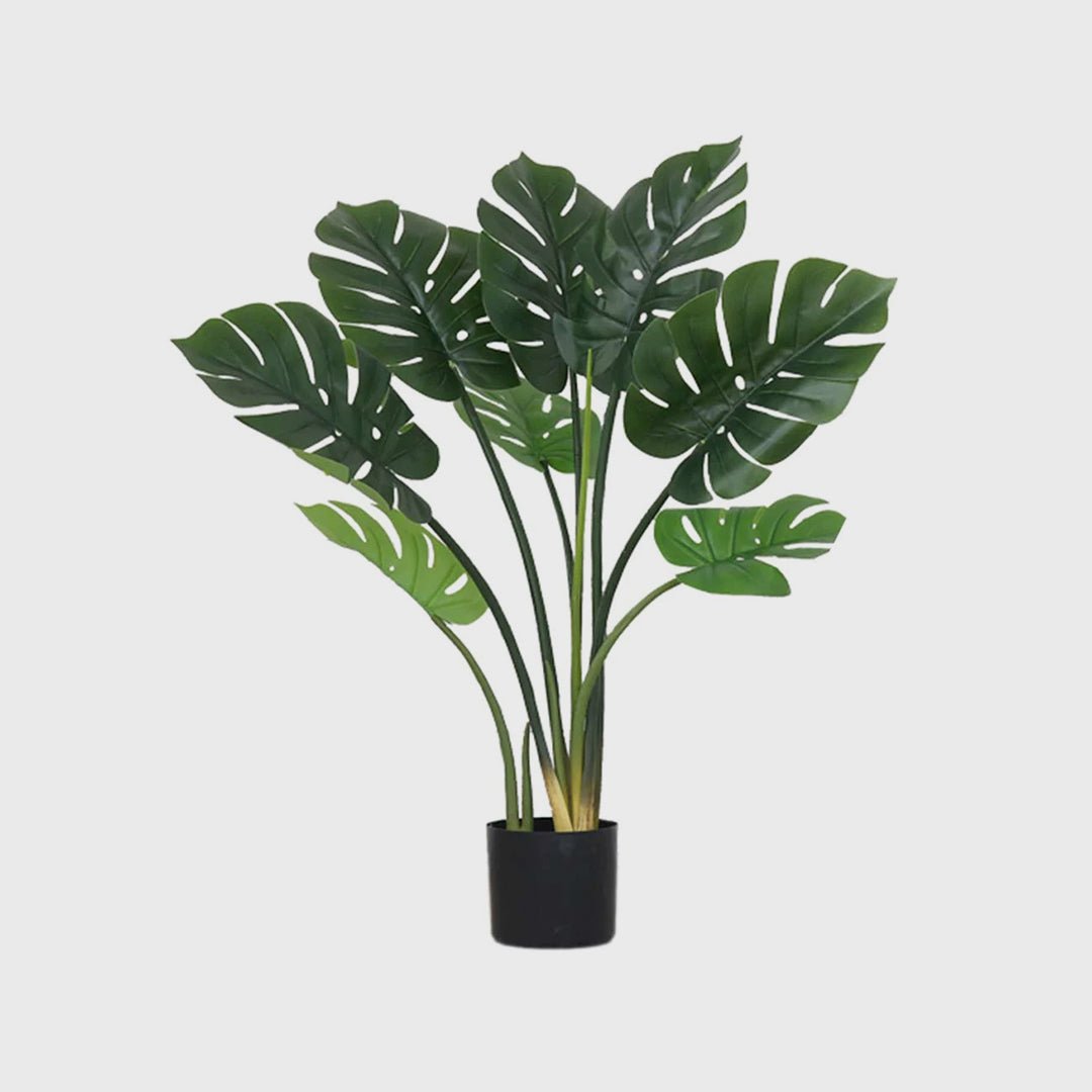 93cm Artificial Turtle Back Plant - Snug & Homely