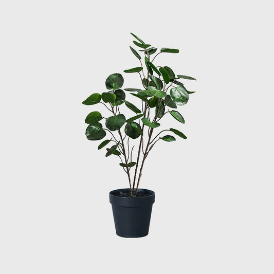 95cm Artificial Indoor Pocket Money Tree