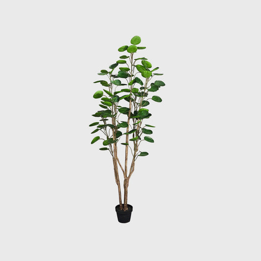 180cm Artificial Indoor Pocket Money Tree