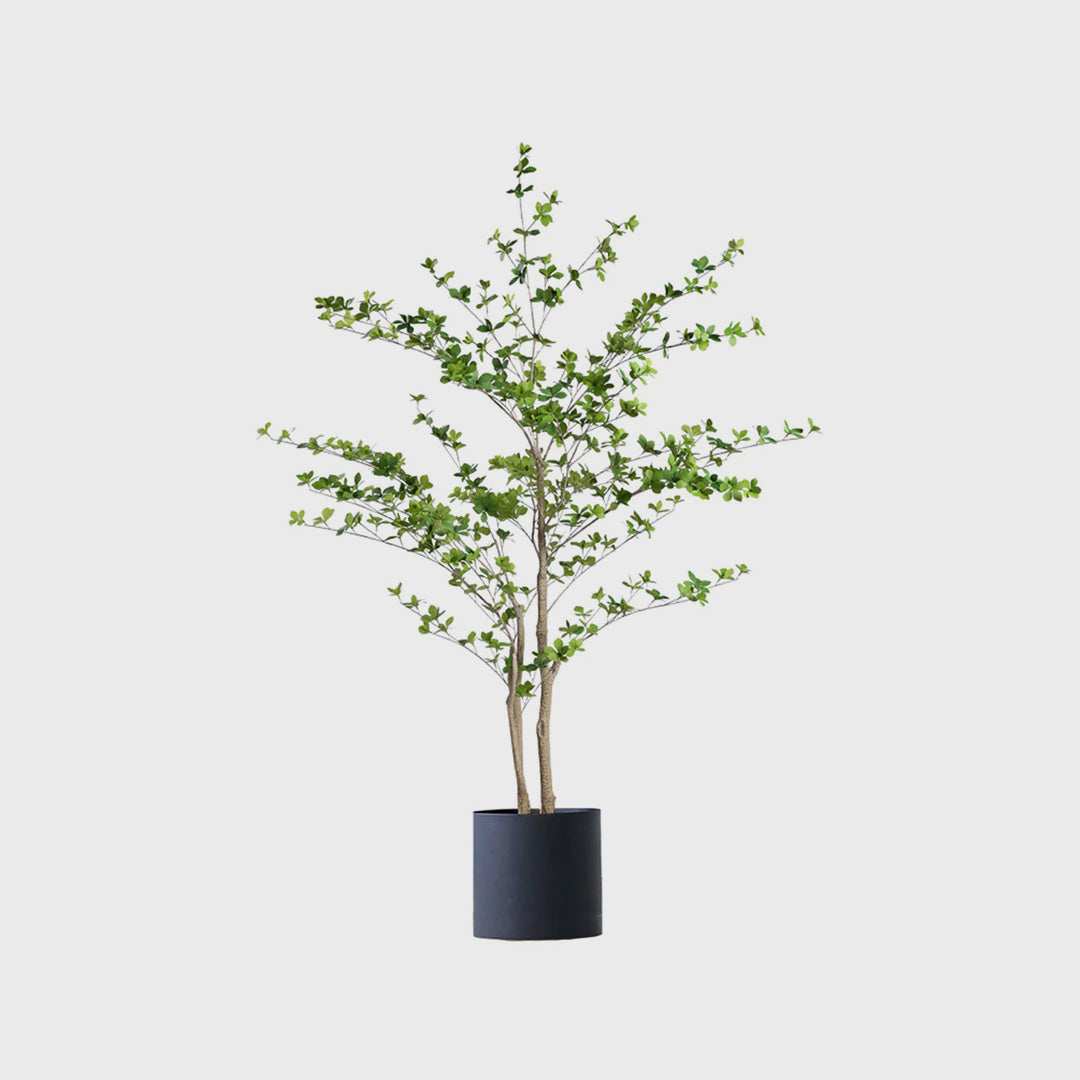 150cm Artificial Indoor Watercress Tree