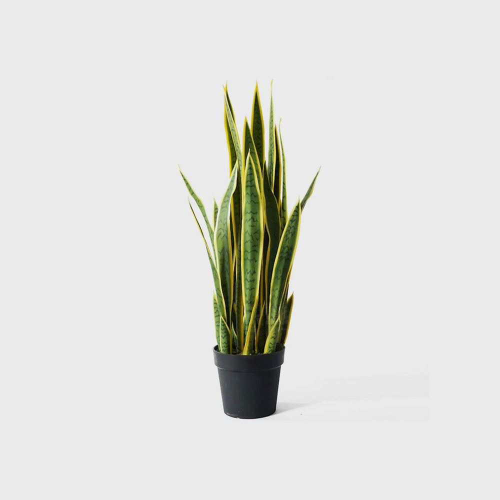 Artificial Plants