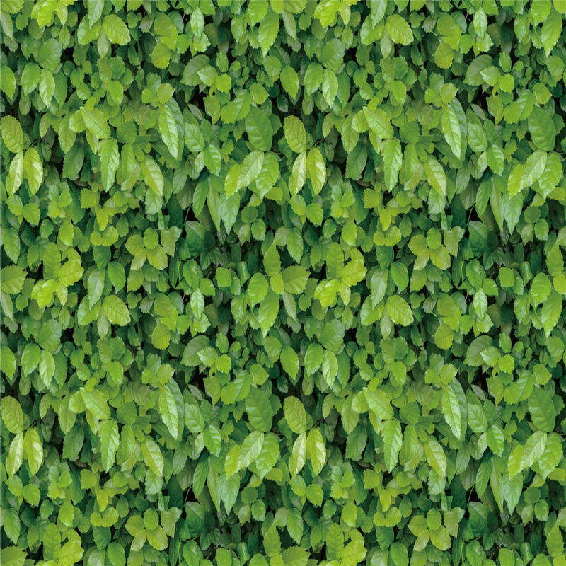 Wallpapers Multi Patterns - Snug & Homely